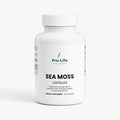 Sea Moss