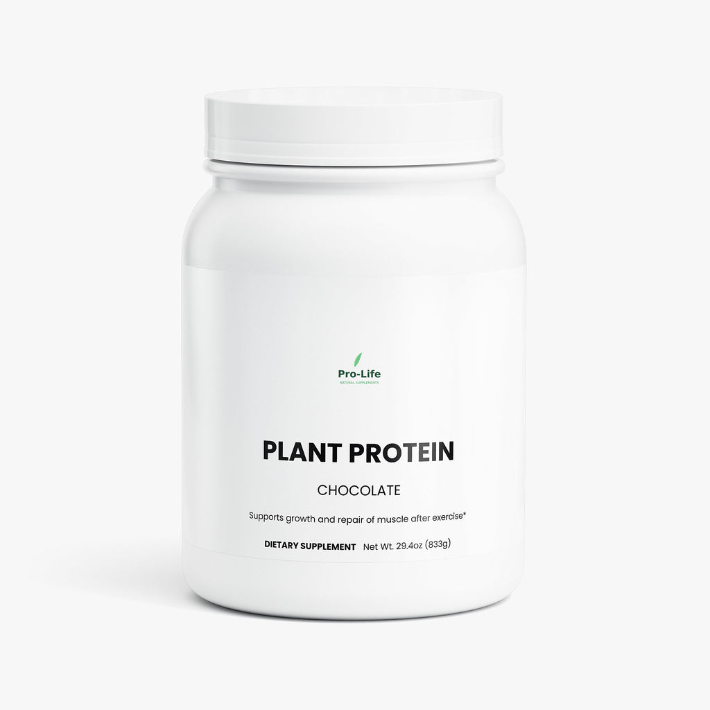 Plant Protein (Chocolate)